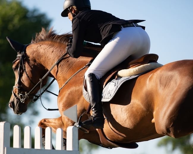 Fei jumping European championship